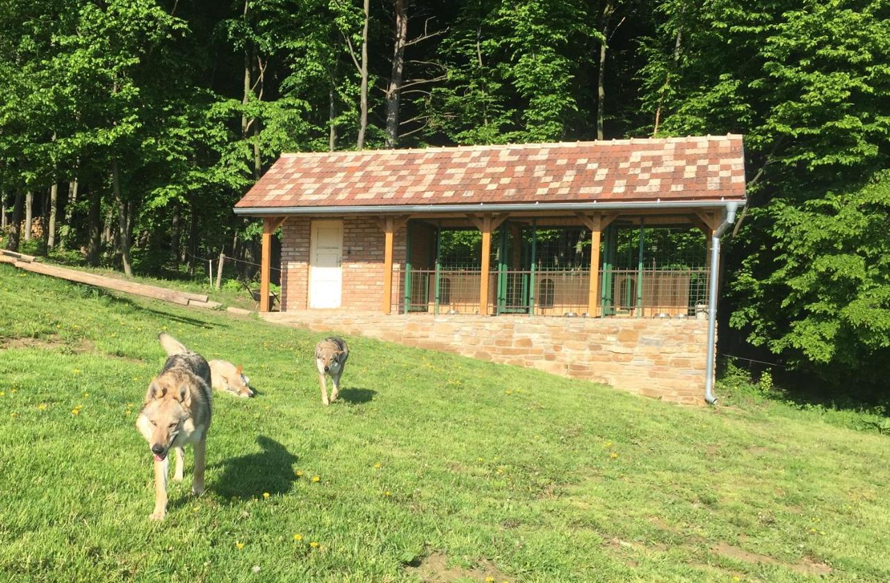 Chata Koniaren Villa Pavlovce Exteriör bild