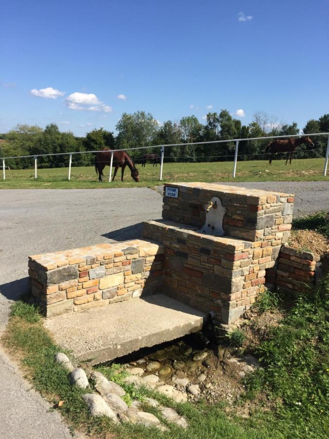 Chata Koniaren Villa Pavlovce Exteriör bild