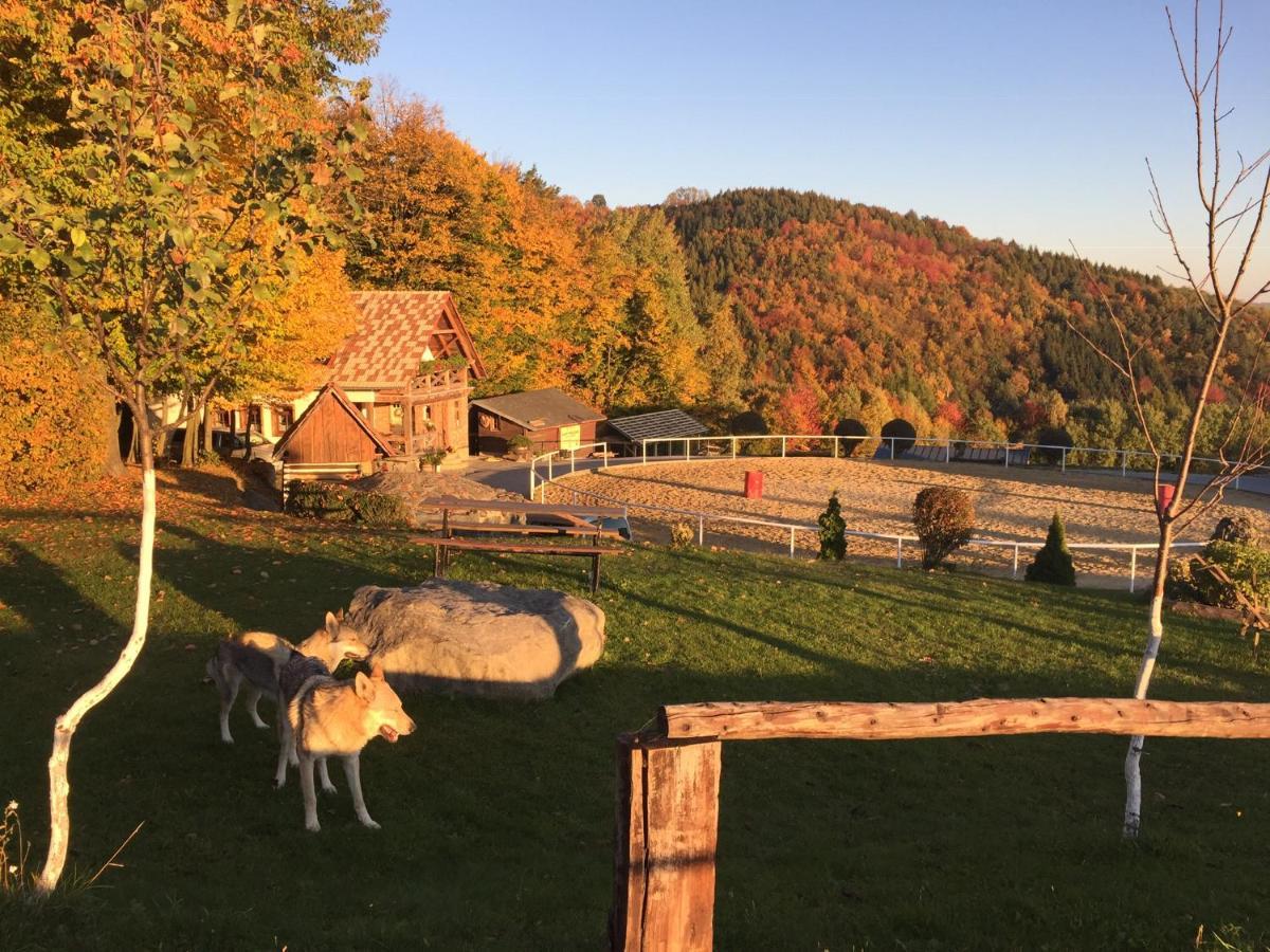 Chata Koniaren Villa Pavlovce Exteriör bild